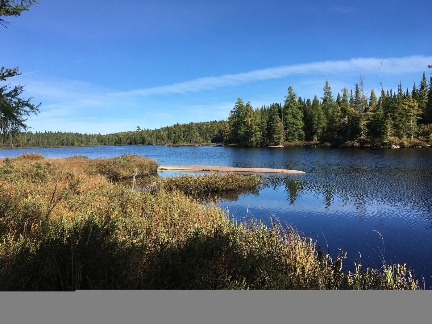 Quebec project landscape
